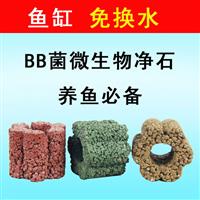 BB菌花瓣長效凈水石