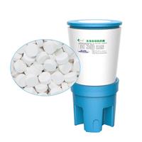 復效清泳池消毒片